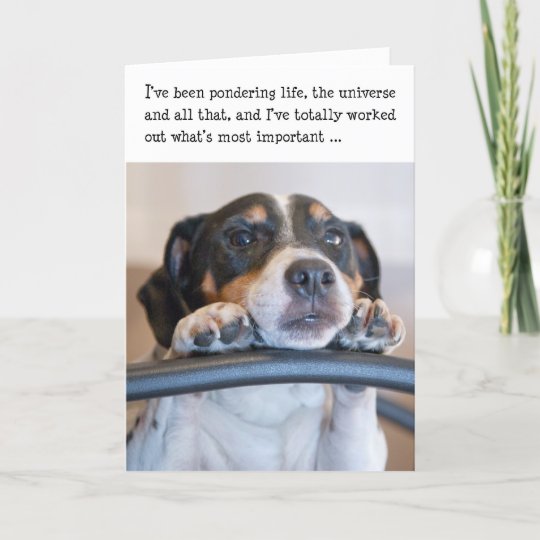 Carte D Anniversaire Humoristique Chien Zazzle Be