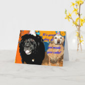 Carte d'anniversaire Humour de chien (Fleur jaune)