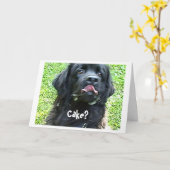 Carte d'anniversaire Humour de chien de Terre-Neuv (Fleur jaune)