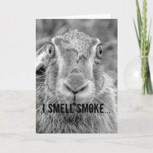 carte d'anniversaire humour lapin noir et blanc ph