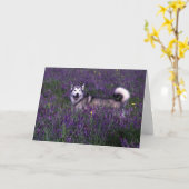 Carte d'anniversaire Husky (Fleur jaune)