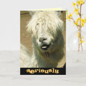 Carte d'anniversaire idiote de lama (Fleur jaune)