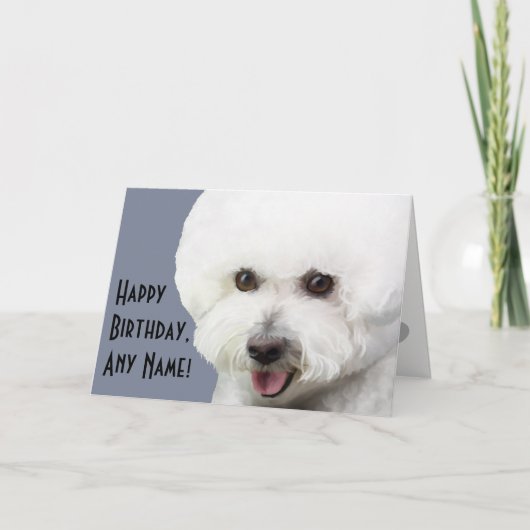 Carte d'anniversaire illustrée Bichon Frise (Devant)