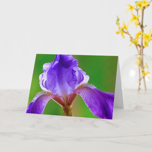 Carte d'anniversaire Iris violet (Fleur jaune)
