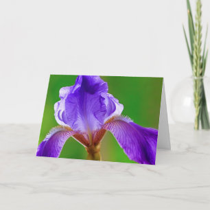 Carte d'anniversaire Iris violet