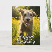 Carte d'anniversaire irlandaise Wolfhound personna (Devant)