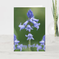 Carte d'anniversaire - jacinthes des bois