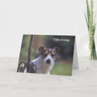 Carte d'anniversaire Jack Russell