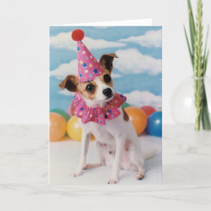 Carte d'anniversaire Jack Russell Dog