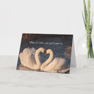 Carte d'anniversaire Je t'aime Cœur de cygne