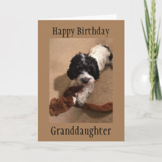 CARTE D'ANNIVERSAIRE "JEUNE PETITE-FILLE"
