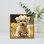 Carte d'anniversaire joyeuse aux chiots maltais (Debout devant)