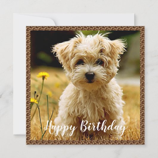 Carte d'anniversaire joyeuse aux chiots maltais (Devant)