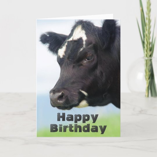 Carte D Anniversaire Joyeuse De La Vache Zazzle Be