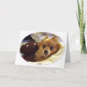 Carte d'anniversaire joyeuse de Poméranie (Dos)