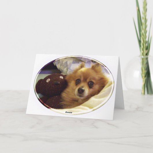 Carte d'anniversaire joyeuse de Poméranie (Dos)