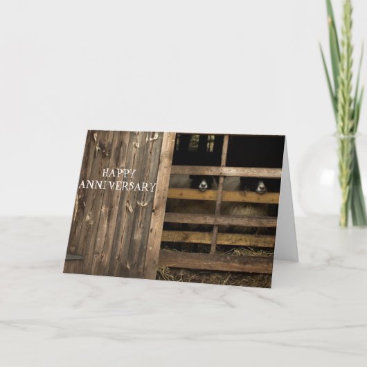 Carte d'anniversaire joyeuse du mouton (Devant)