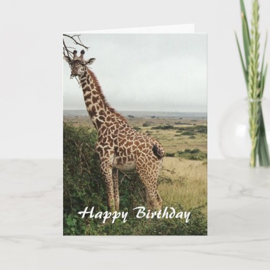 Carte d'anniversaire joyeuse girafe (Devant)