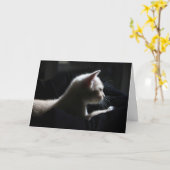 Carte d'anniversaire joyeuse pour chat (Fleur jaune)