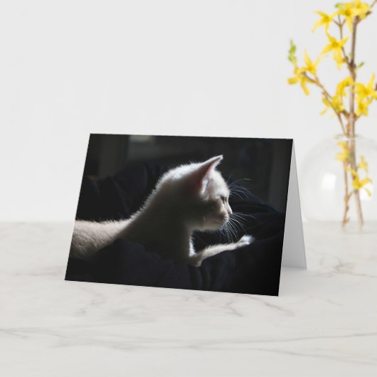 Carte d'anniversaire joyeuse pour chat (Fleur jaune)