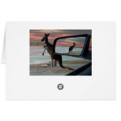 Carte d'anniversaire Kangaroo Seaside Breezes Illu (Dos Horizontal)