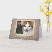 Carte d'anniversaire Kitten (Fleur jaune)