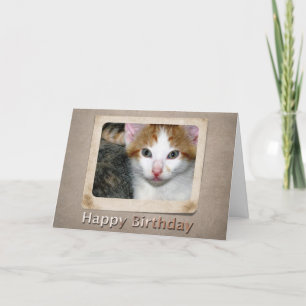 Carte d'anniversaire Kitten