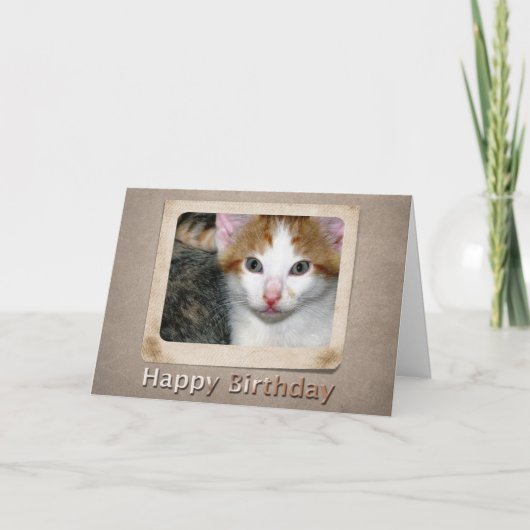 Carte d'anniversaire Kitten (Devant)