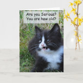 Carte d'anniversaire Kitty - Drôle ! ! ! (Fleur jaune)