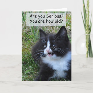 Carte d'anniversaire Kitty - Drôle ! ! !
