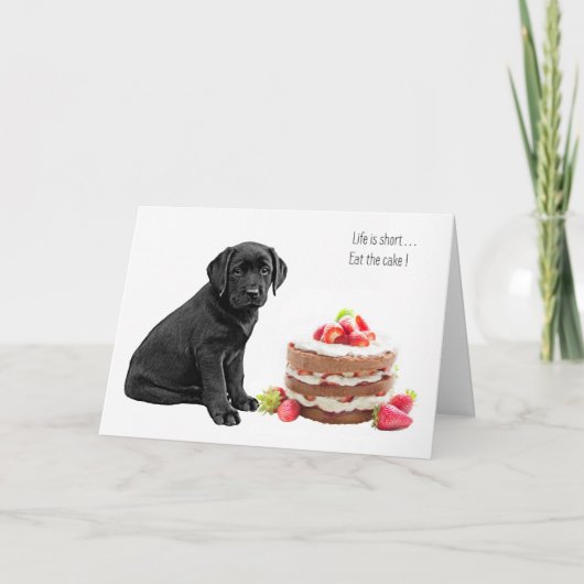 Carte d'anniversaire Labrador noir - Anniversaire (Devant)