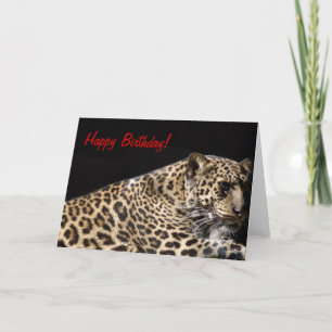 Carte d'anniversaire Leopard