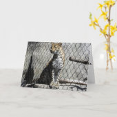 Carte d'anniversaire "Leopard #2" (Fleur jaune)
