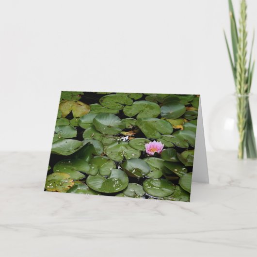 Carte d'anniversaire Lily Pond (Devant)