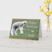 Carte d'anniversaire Little Lamb (Fleur jaune)