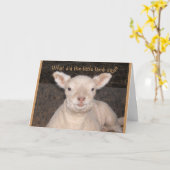 Carte d'anniversaire Little Lamb (Fleur jaune)