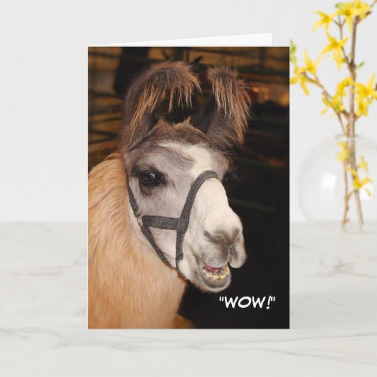 Carte d'anniversaire Llama (Fleur jaune)