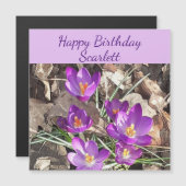 Carte d'anniversaire magnétique de Crocus pourpre (Devant / Derrière)