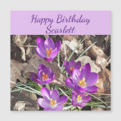 Carte d'anniversaire magnétique de Crocus pourpre (Devant)
