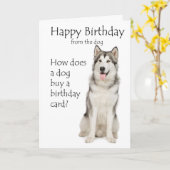 Carte d'anniversaire malamute amusante (Fleur jaune)