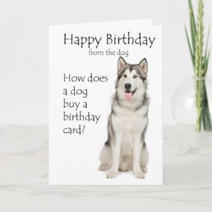 Carte d'anniversaire malamute amusante