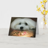 Carte d'anniversaire maltaise (Fleur jaune)