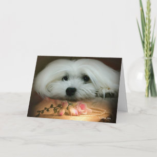 Carte d'anniversaire maltaise