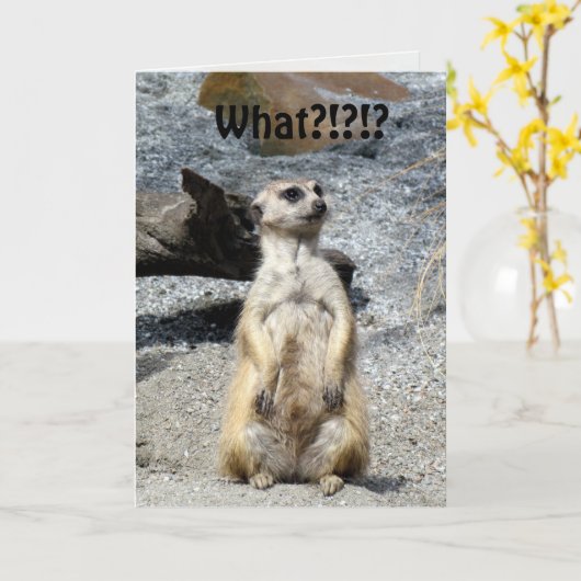 Carte d'anniversaire Meerkat (Fleur jaune)