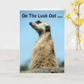 Carte d'anniversaire Meerkat (Fleur jaune)