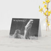 Carte d'anniversaire Meerkat (Fleur jaune)