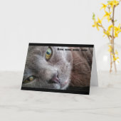 Carte d'anniversaire Meow Kitty Cat (Fleur jaune)