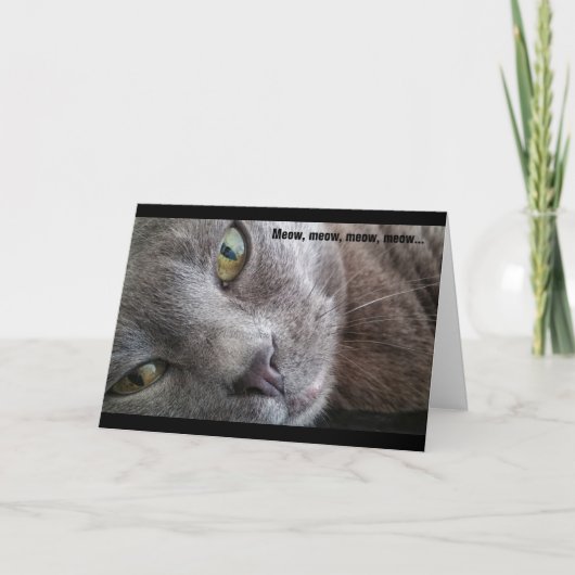Carte d'anniversaire Meow Kitty Cat (Devant)