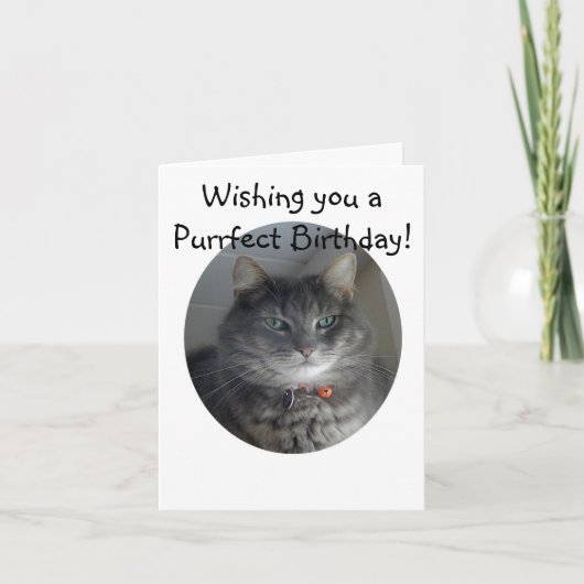 Carte d'anniversaire - MERLIN le chat (Devant)