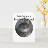 Carte d'anniversaire - MERLIN le chat (Fleur jaune)